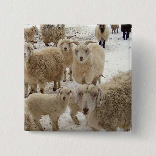 Geestkudde Vierkante Button 5,1 Cm (Voorkant)