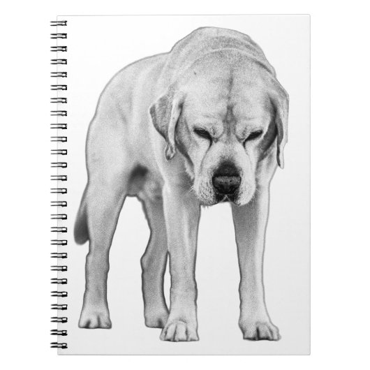 geëtste resolutie notitieboek (Voorkant)