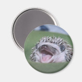geeuwster magneet (Voorkant / Achterkant)