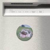 geeuwster magneet (Insitu (Vaatwasser))