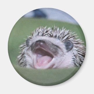 geeuwster magneet