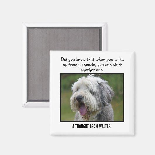 Geëvenaarde Collie Aangepast Magnet van de Douane (Voorkant / Achterkant)