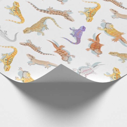 Geëxpandeerd Dragon Scatter Pattern Transparent Cadeaupapier (Hoek)