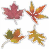 Geëxsorteerde Autumn Leaves Sticker (Voorkant)