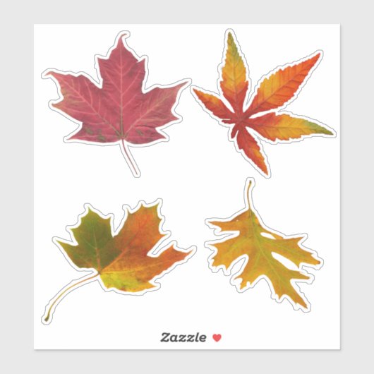Geëxsorteerde Autumn Leaves Sticker (Vel)