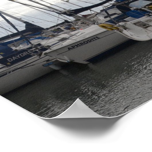 Geëxsorteerde jachten poster (Hoek)