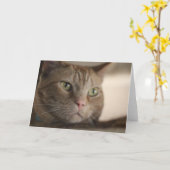 Gefasceerd Kaart (Gele Bloem)