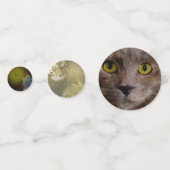 Gefascineerd door schoonheid: kat gefascineerd doo confetti (Voorkanten)