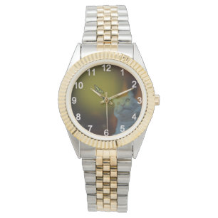 Gefascineerd door schoonheid: kat gefascineerd doo horloge