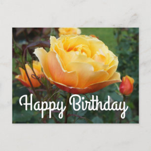 Gefeliciteerd About Face Rose #2 Ansichtkaart Briefkaart