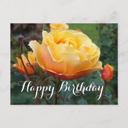 Gefeliciteerd About Face Rose #2 Ansichtkaart Briefkaart (Voorkant)