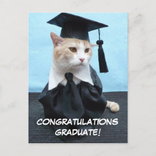 Gefeliciteerd Afgestudeerde! Briefkaart