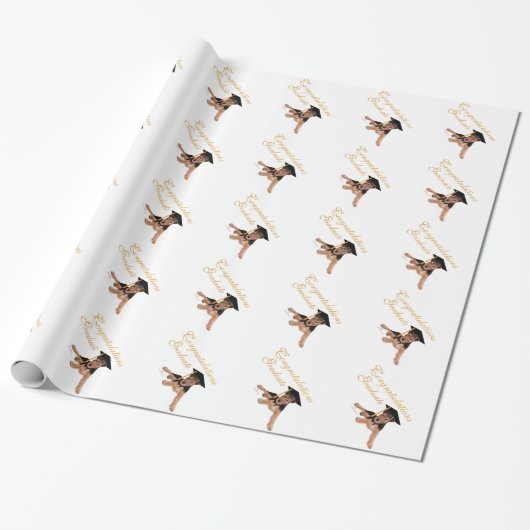 Gefeliciteerd Afgestudeerde Cadeaupapier (Uitgerold)