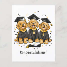 Gefeliciteerd Afstudeer Goldendoodle Honden Briefkaart