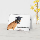 Gefeliciteerd afstuderen Boxer wenskaart Kaart (Gele Bloem)