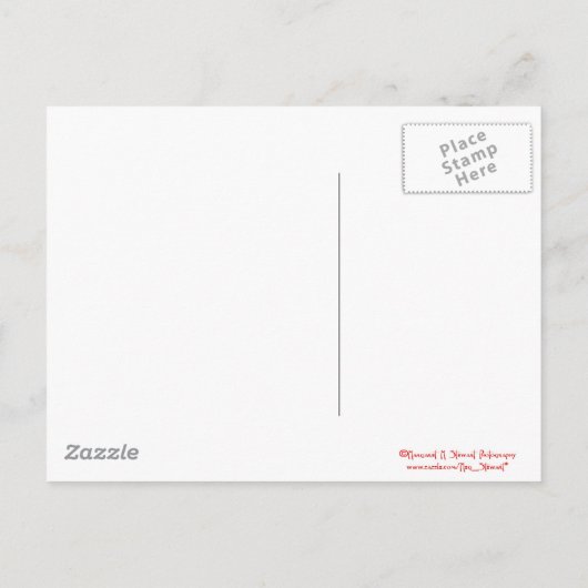 Gefeliciteerd Afstuderen! Fortune Cookie Aankondigingskaart (Achterkant)