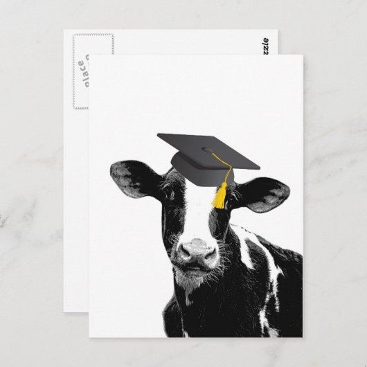 Gefeliciteerd Afstuderen Funny Cow in Pet Briefkaart (Voorkant / Achterkant)