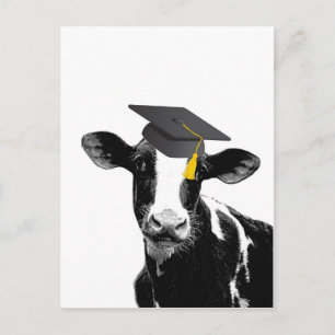 Gefeliciteerd Afstuderen Funny Cow in Pet Briefkaart