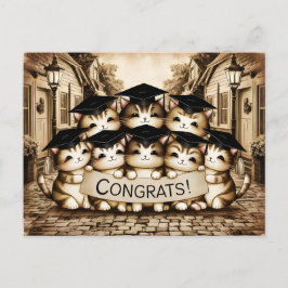 Gefeliciteerd afstuderen  katten briefkaart