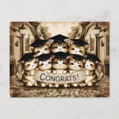 Gefeliciteerd afstuderen katten briefkaart (Voorkant)
