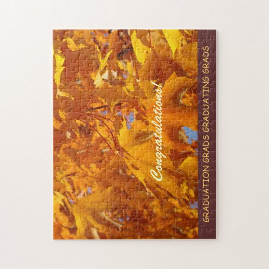Gefeliciteerd AFSTUDEREN puzzels Afstuderende puzz (Verticaal)