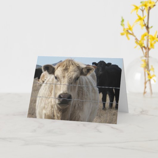 Gefeliciteerd Afstuderen Ranch Farm Animals Kaart (Gele Bloem)