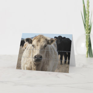Gefeliciteerd Afstuderen Ranch Farm Animals Kaart