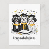 Gefeliciteerd Afstuderen Shih Tzu Dogs Briefkaart (Voorkant)