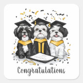 Gefeliciteerd Afstuderen Shih Tzu Dogs Vierkante Sticker (Voorkant)