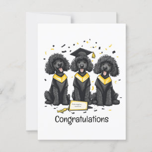Gefeliciteerd Afstuderen Standaard Poodles Honden Briefkaart
