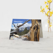 Gefeliciteerd Apache Blessing Mountain Kaart (Gele Bloem)