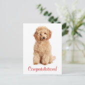 Gefeliciteerd Apricot Poedel Puppy Dog Briefkaart (Staand voorkant)