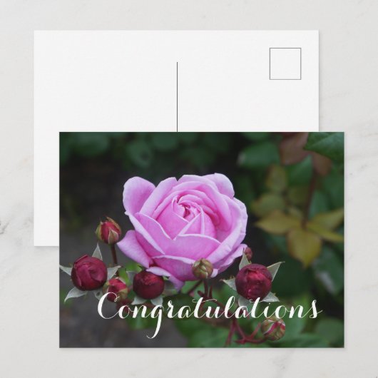 Gefeliciteerd Bishop’s Castle #1 Ansichtkaart Briefkaart (Voorkant / Achterkant)