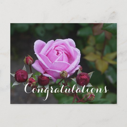 Gefeliciteerd Bishop's Castle  #1 Ansichtkaart Briefkaart (Voorkant)