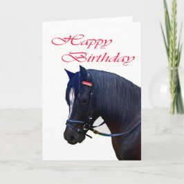 Gefeliciteerd, Black Welsh Pony. Kaart
