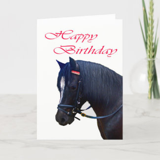 Gefeliciteerd, Black Welsh Pony. Kaart