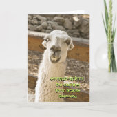 Gefeliciteerd, blokkering Llama-kaart Kaart (Voorkant)