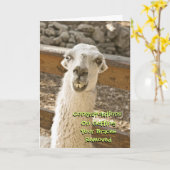 Gefeliciteerd, blokkering Llama-kaart Kaart (Gele Bloem)