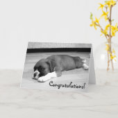 Gefeliciteerd Boxer Dog wenskaart Kaart (Gele Bloem)