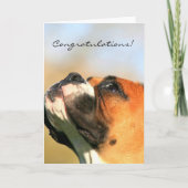 Gefeliciteerd Boxer Dog Wenskaart Kaart (Voorkant)