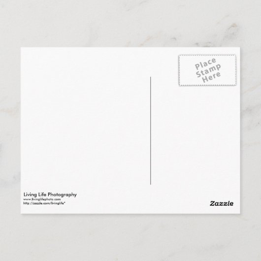 Gefeliciteerd Briefkaart (Achterkant)