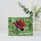 Gefeliciteerd Briefkaart (Staand voorkant)