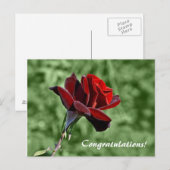 Gefeliciteerd Briefkaart (Voorkant / Achterkant)