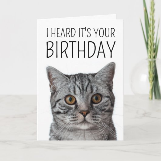 Gefeliciteerd | Britse Korthaar Kat Kattengezicht Kaart (Voorkant)