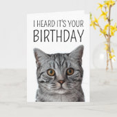 Gefeliciteerd | Britse Korthaar Kat Kattengezicht Kaart (Gele Bloem)