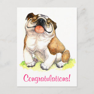 Gefeliciteerd Bulldog Puppy Groeten Briefkaart
