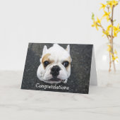 Gefeliciteerd Bulldog Wenskaart Kaart (Gele Bloem)