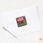 Gefeliciteerd Cherry Parfait Roos #1-2 Vierkante Sticker (Envelop)