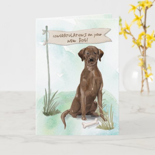 Gefeliciteerd Chocolade Lab met nieuwe hond Kaart (Gele Bloem)