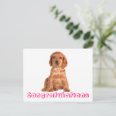 Gefeliciteerd Cocker Spaniel Puppy Dog Briefkaart (Staand voorkant)